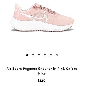 Air Zoom Pegasus Sneaker in Pink Oxford Women’s size 7.5